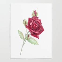 Romantic Red Rose Poster