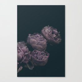 Dramatic Bunch of Peonies | Modern Floral Photography | Nature Canvas Print