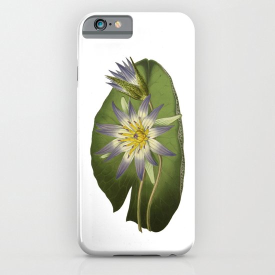Water Lily Vintage Botanical Print iPhone & iPod Case