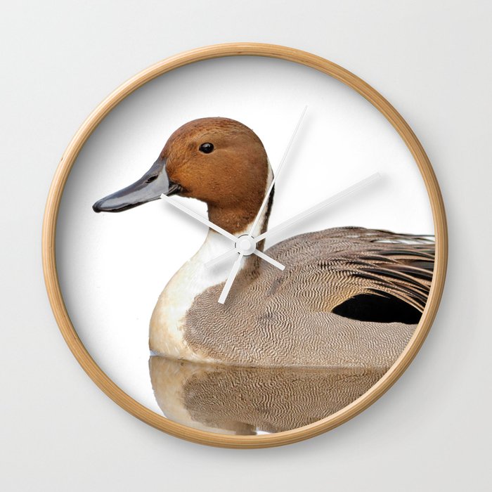 Reflections of a Northern Pintail Duck Wall Clock