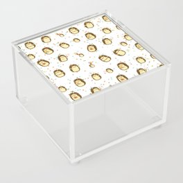 Hedgehog Party Time Acrylic Box