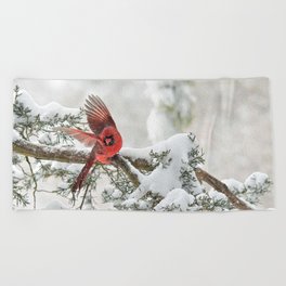 Winter Snow Flight: Northern Cardinal Beach Towel