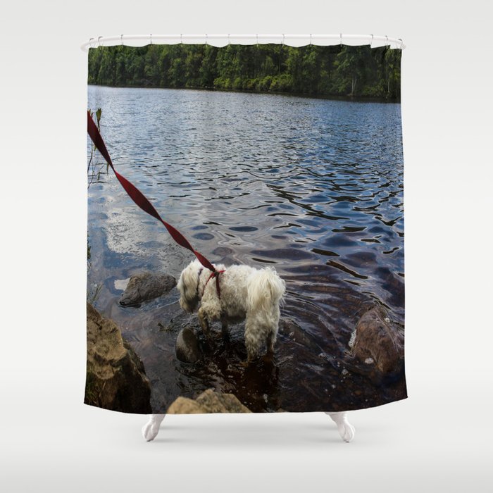 Puppy Stepping on Stones Shower Curtain