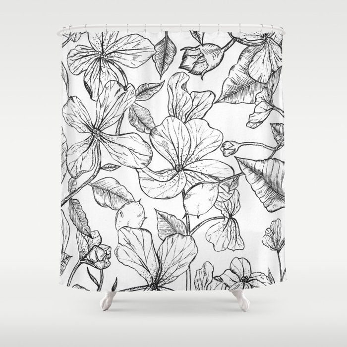 Balkan Honesty flower drawing / Lunaria annua flower  Shower Curtain