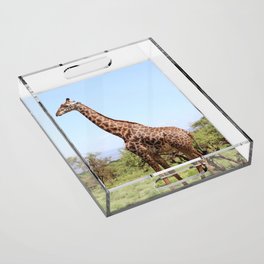 Wild Giraffe Acrylic Tray
