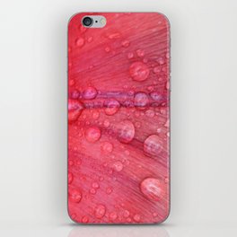 Macro Petal Water droplets Rouge Palette iPhone Skin