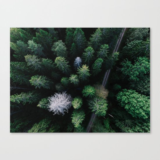 From Afar III Canvas Print