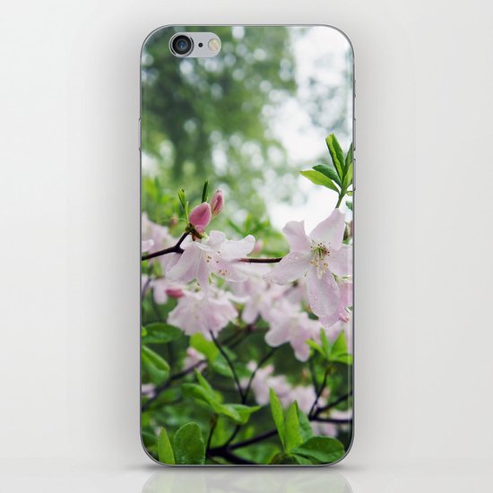 secret garden 14 iPhone & iPod Skin