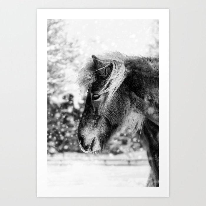 Chestnut Horse in The Snow - Black & White Art Print