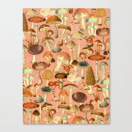 Mushroom Forest Canvas Print