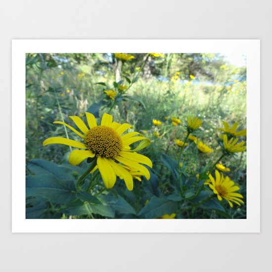 Yellow Flowers Art Print