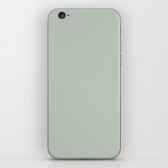 Neutral Midtone Green-Blue Single Solid Color Coordinates with PPG Niagara Mist PPG10-30 iPhone Skin