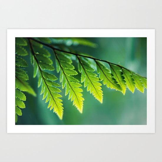 Shades of Green Art Print