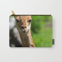 Vicunas Vicugna Relatives Llama Which Live Carry-All Pouch