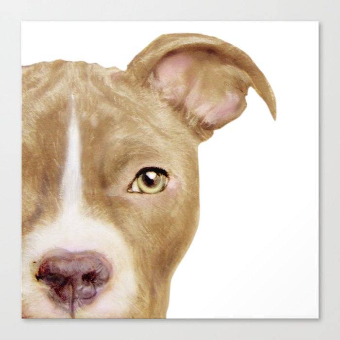 Pitbull Light Brown Dog Illustration Original Painting Print