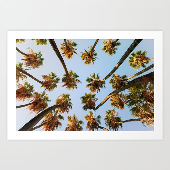 Palm trees overload Art Print