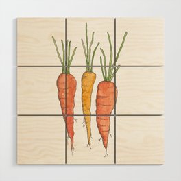 Carrot cake Wood Wall Art