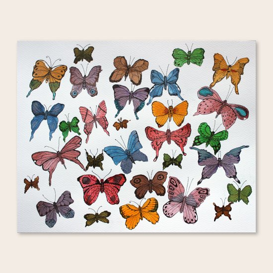 Lepidoptera Canvas Print