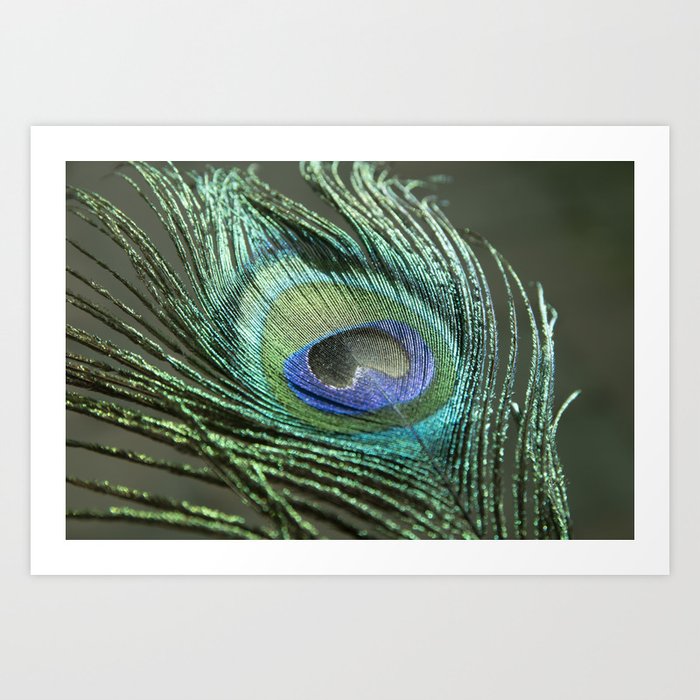 Metallic peacock feather - iridescant green blue - macro photography Art Print