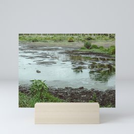 Swamp Mini Art Print