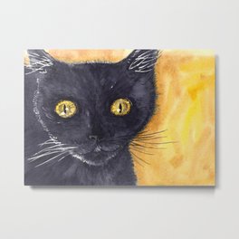 Black cat  Metal Print