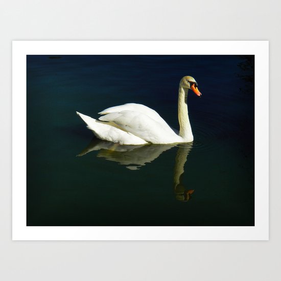 Beautiful Swan Art Print