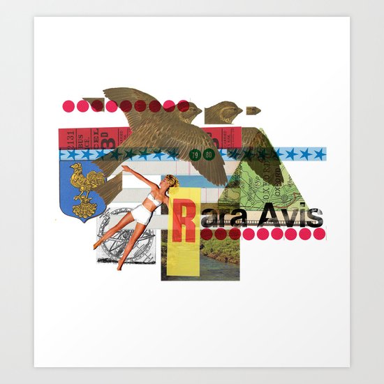 Rara Avis Art Print