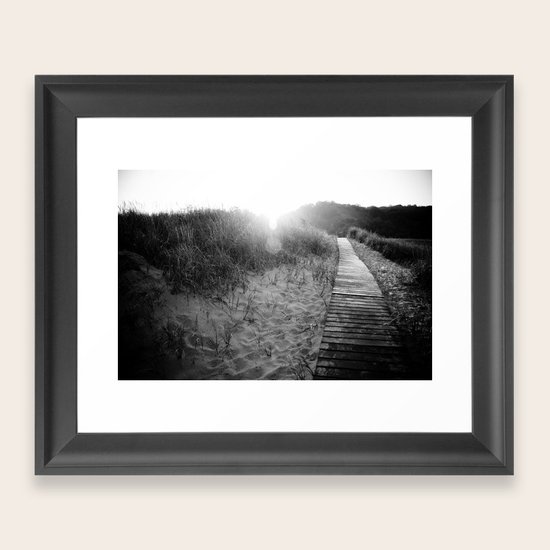 Morning Light Framed Art Print