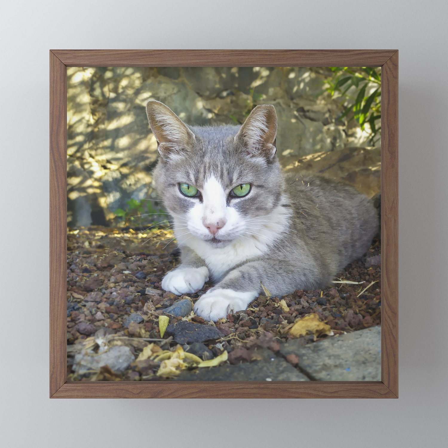 Grey Cat With Green Eyes Framed Mini Art Print By Cesartorres