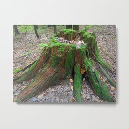 Heart of the Forest Metal Print