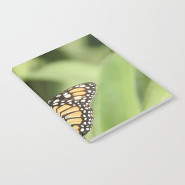 Mexico Photography - Beautiful Butterfly On A Plant Notebook