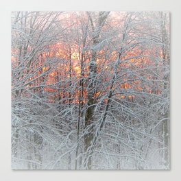 Winter Morning Canvas Print