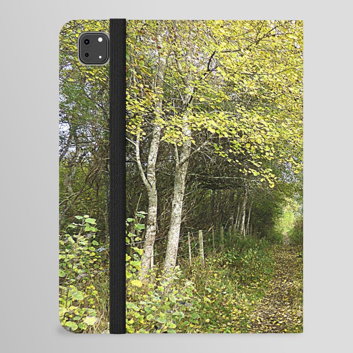 Nature Path in I Art and After Glow   iPad Folio Case