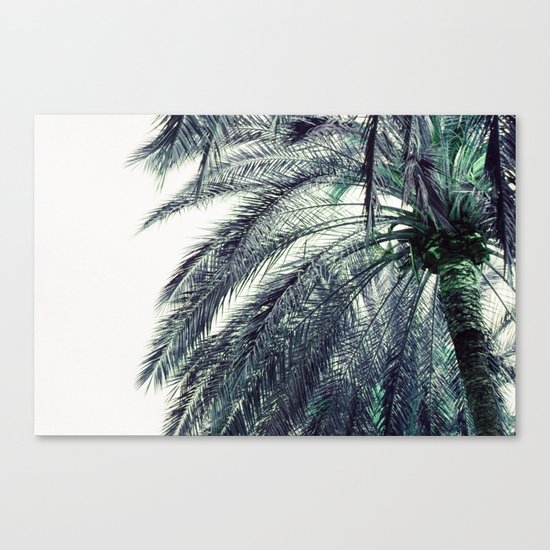 Teal Palm Tree Canvas Print