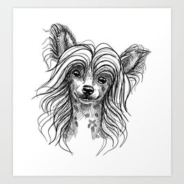 Cute little Chinese crested puppy. Art Print