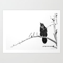 Raven Song,  Black and White Wildlife Photography Art Print