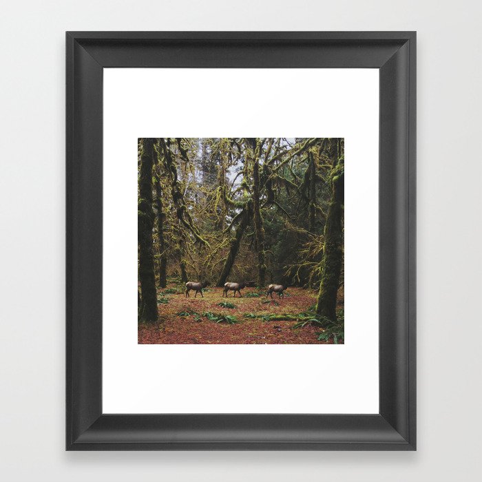 Rainforest Elk Framed Art Print