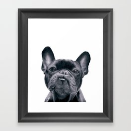 Frenchie Framed Art Print