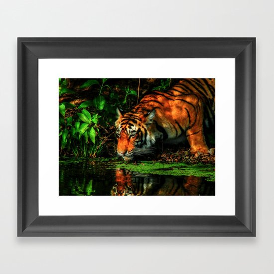 Paying Homage To The Jungle King Framed Art Print
