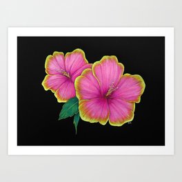 hibiscus flowers Art Print