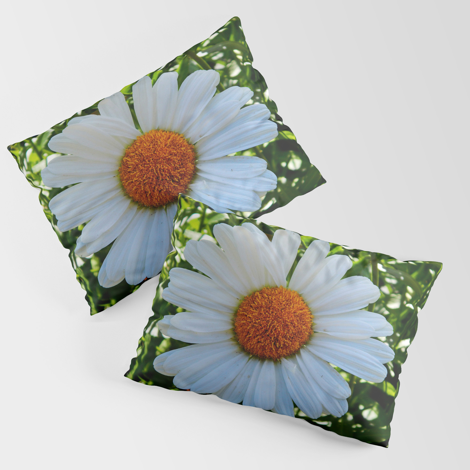 society6