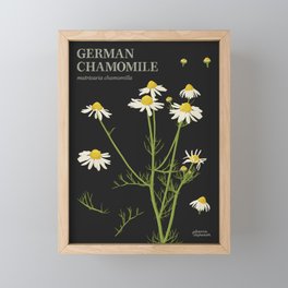 Botanical German Chamomile (Black) Framed Mini Art Print