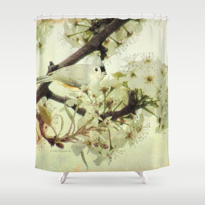 Tufted Titmouse Spring Flower Farmhouse Art Country Home Decor A132 Tufted Titmouse Spring Flower Farmhouse Art Country Home Decor A132 Shower Curtain By Nicolphotographicart Society6