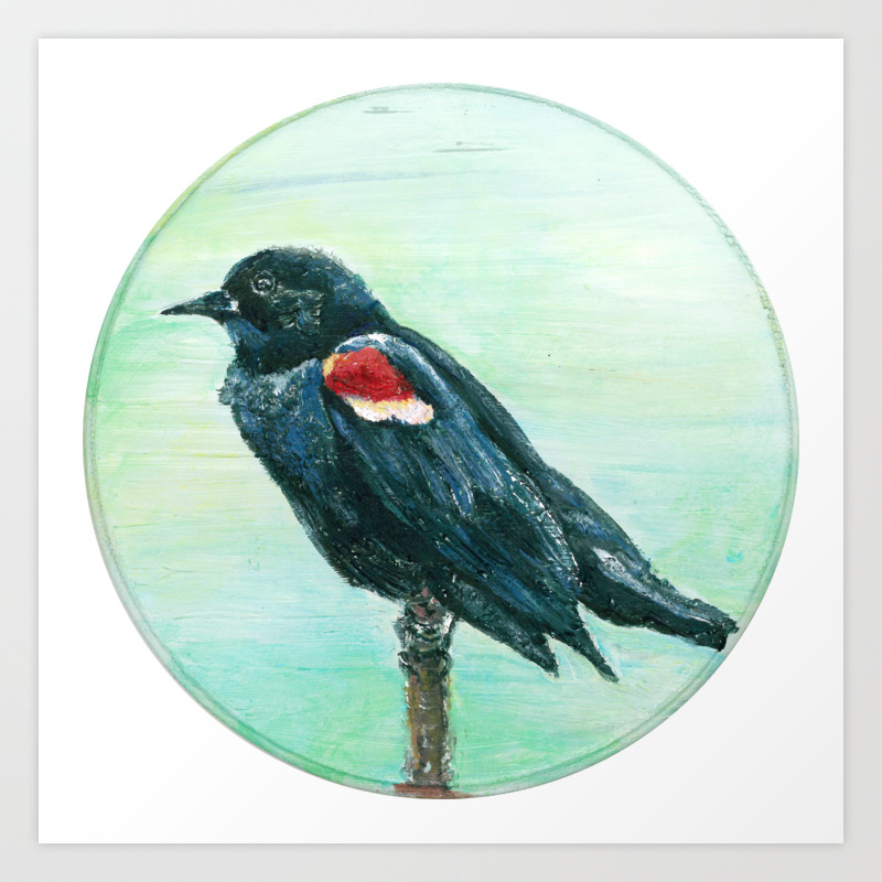 Red Winged Blackbird Circle Painting Art Print By