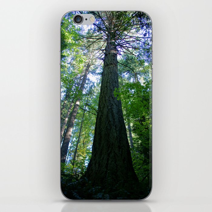 Tall Trees in The Dense Forest iPhone Skin