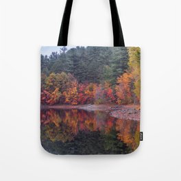 Brilliant Fall Leaves on a Foggy Day Tote Bag