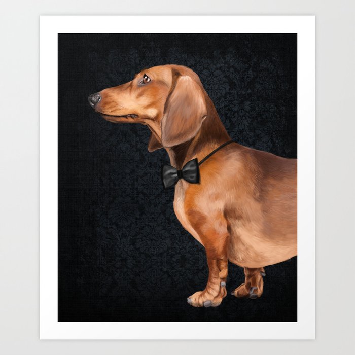 Elegant dachshund. Art Print