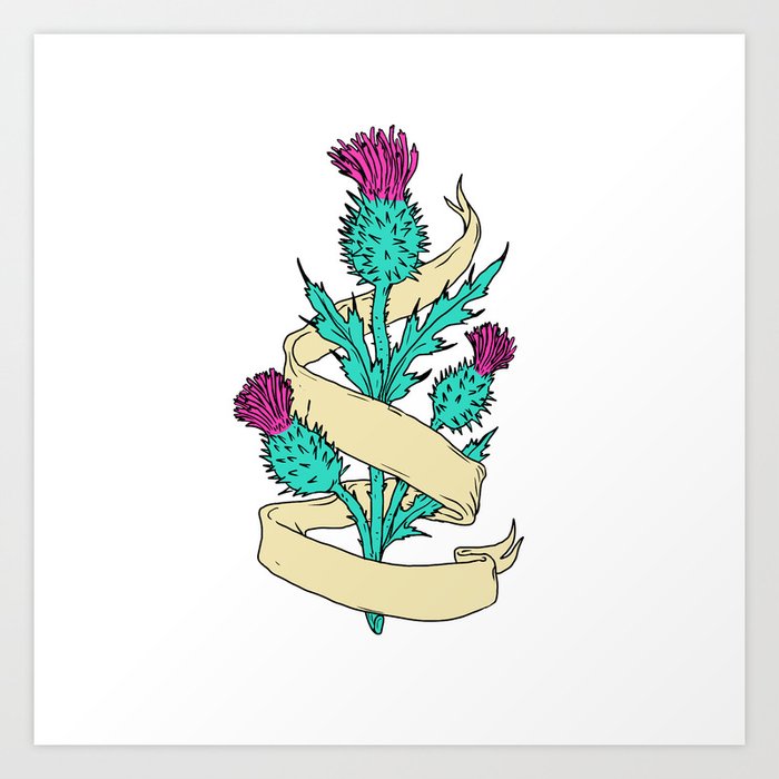 Scottish Thistle With Ribbon Color Drawing Art Print By Patrimonio Society6 18 january 2011, 18:37 (utc). scottish thistle with ribbon color drawing art print by patrimonio