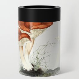 Rufous Milkcap Mushroom Can Cooler