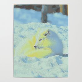 White Fox I Poster